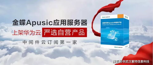 为何只有金蝶Apusic登上华为云严选？深度解析第一家中件云订阅登陆之路